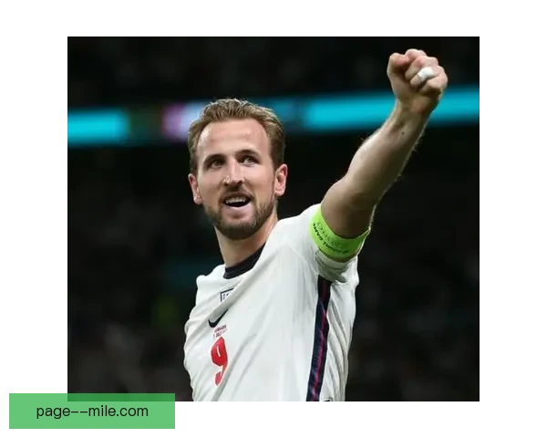 威尔士主场力克芬兰距离欧洲杯正赛仅一步之遥