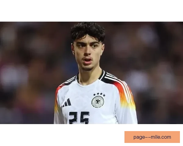 拜仁慕尼黑正式签下富勒姆后腰帕利尼亚 强化中场实力布局