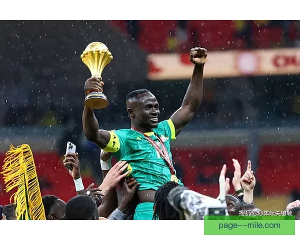 阿莱关键进球助力球队勇夺非洲杯冠军辉煌时刻
